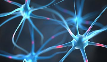 6 Steps To Wellness | Electromagnetic