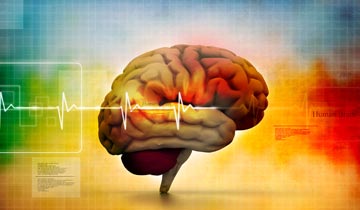 6 Steps To Wellness | Emotion
