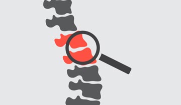 6 Steps To Wellness | Structural