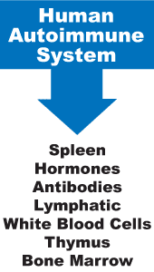 immune system list
